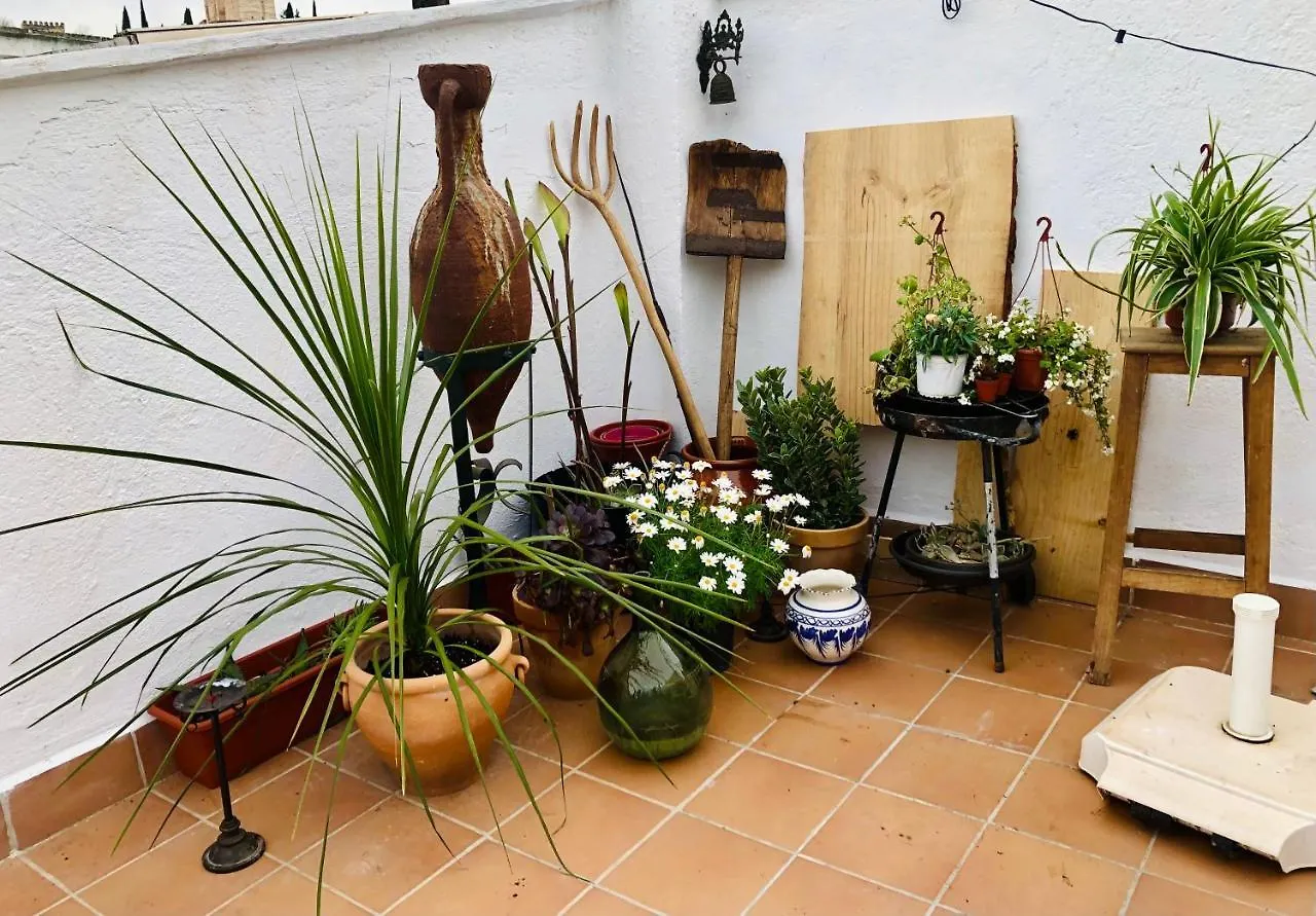 Homestay szállás Casa Guidai Apartman Granada
